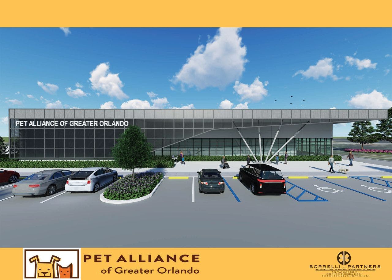 Pet Alliance of Greater Orlando reveals what’s next for new Animal Shelter! thumbnail image.