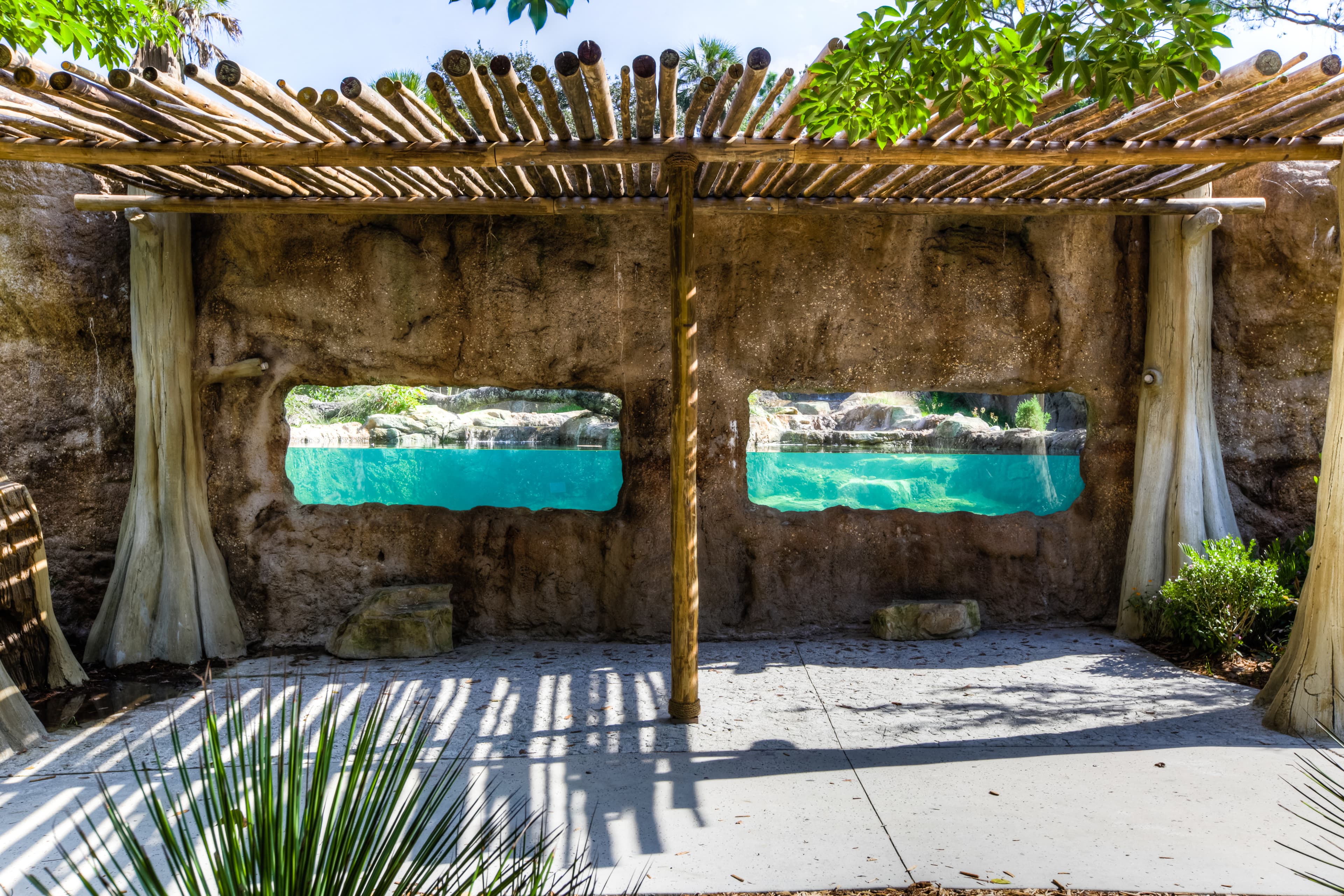 Photo North American River Otter Exhibit  - 2