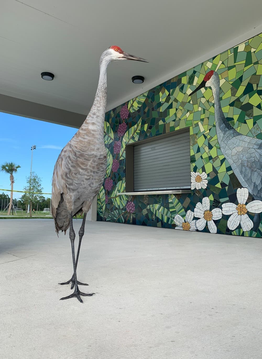 Bomberos Field Park Mural thumbnail image.