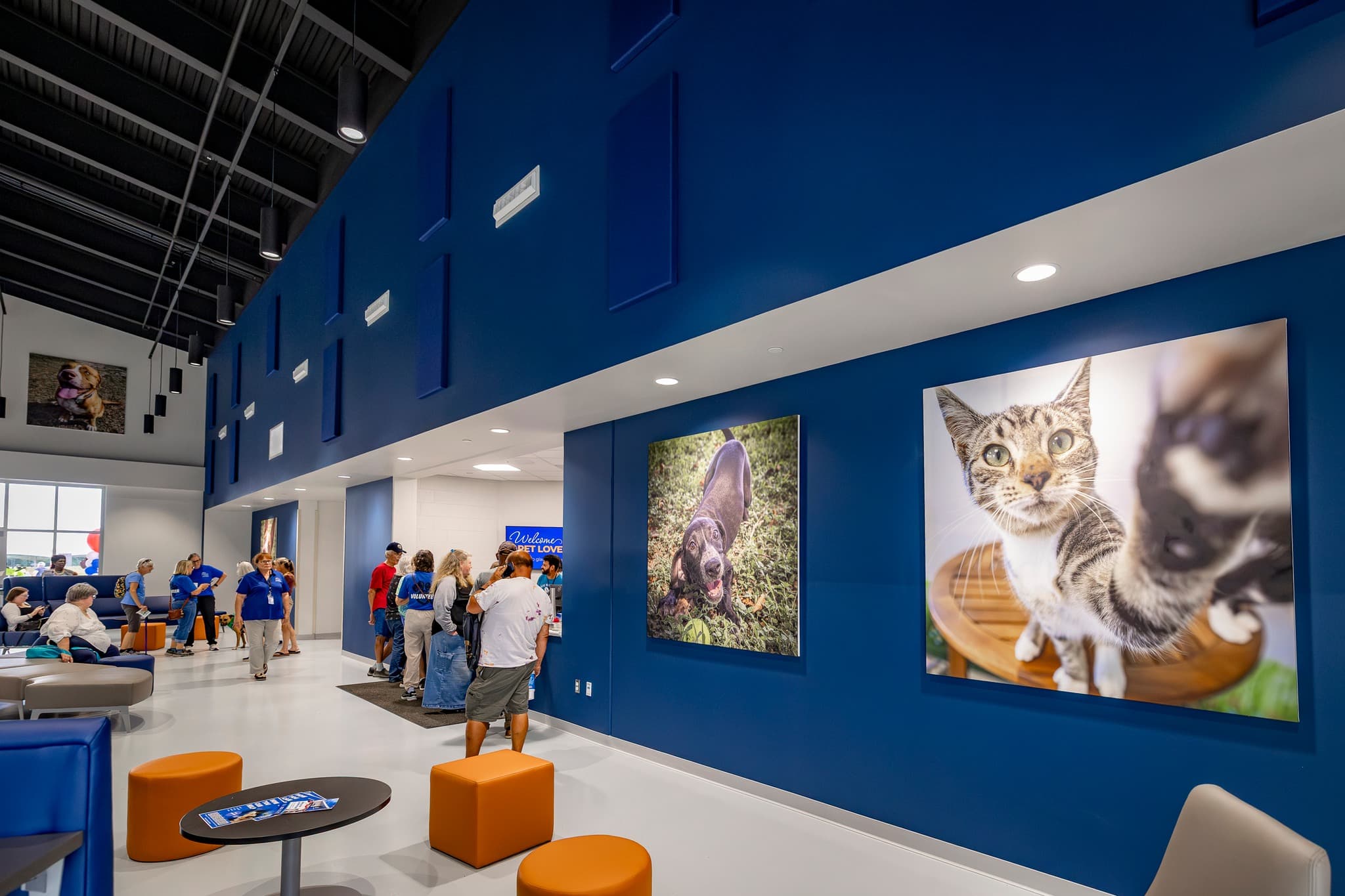 Marion County Animal Shelter - 017