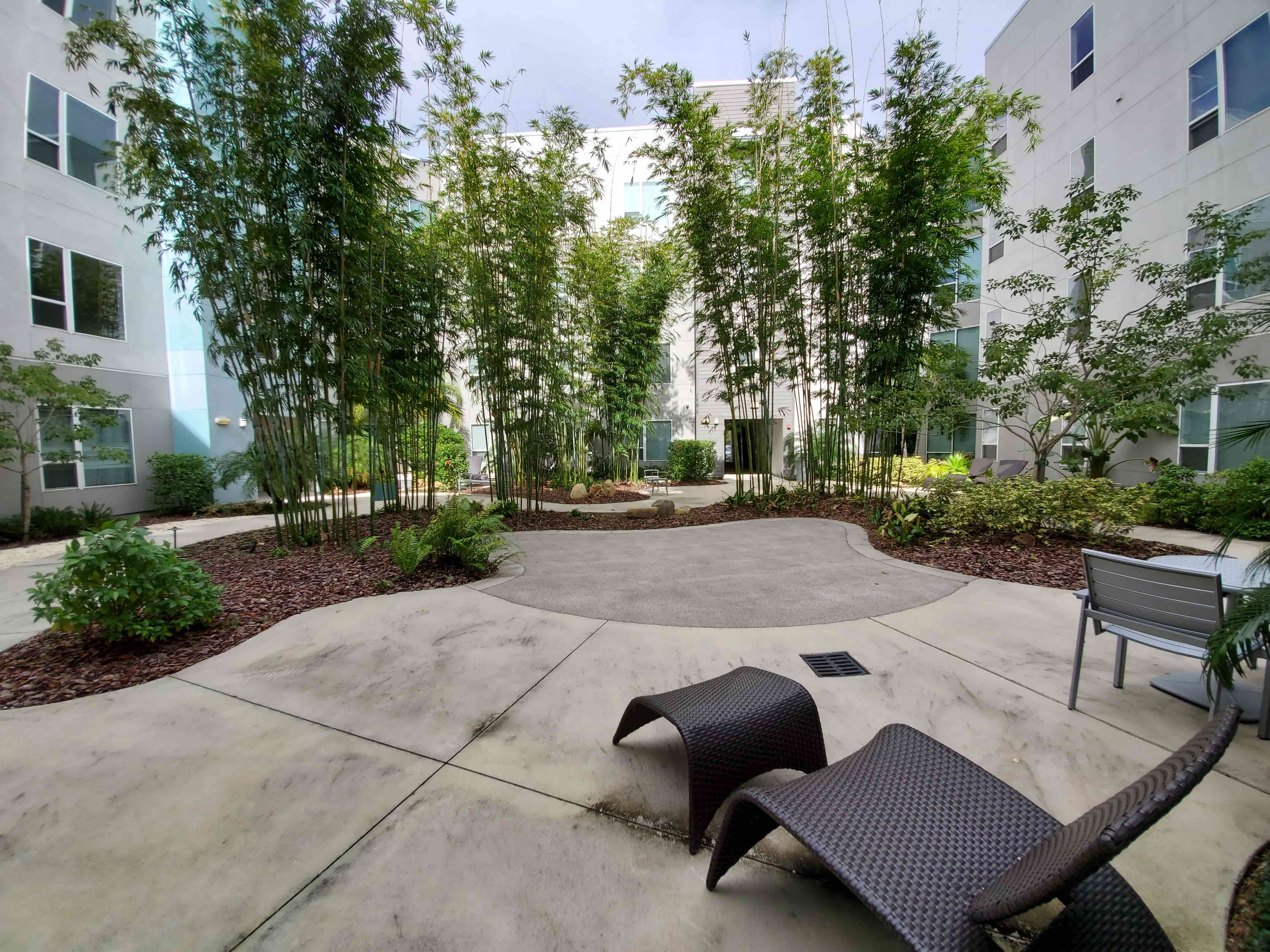 Maitland West Landscape