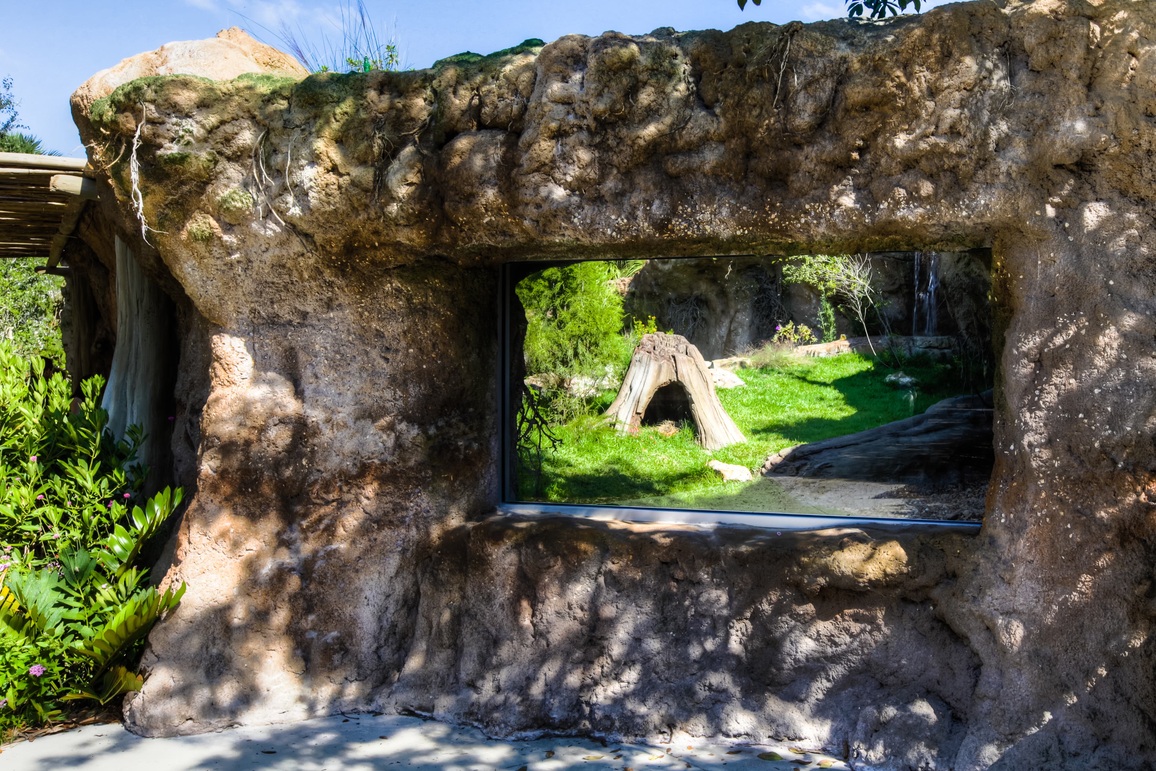 Photo North American River Otter Exhibit - 3