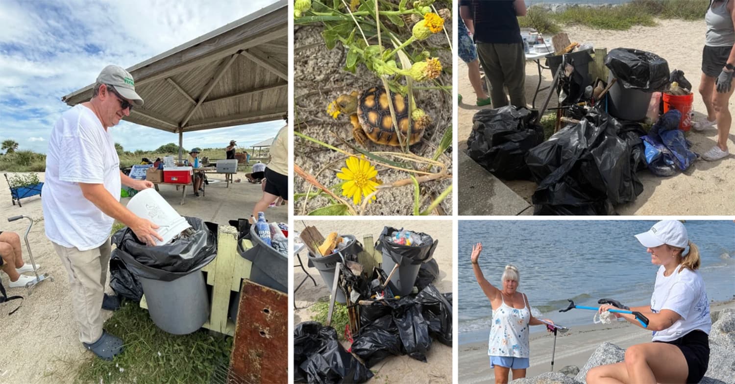 Coastal Cleanup Blog Collage-Small thumbnail image.