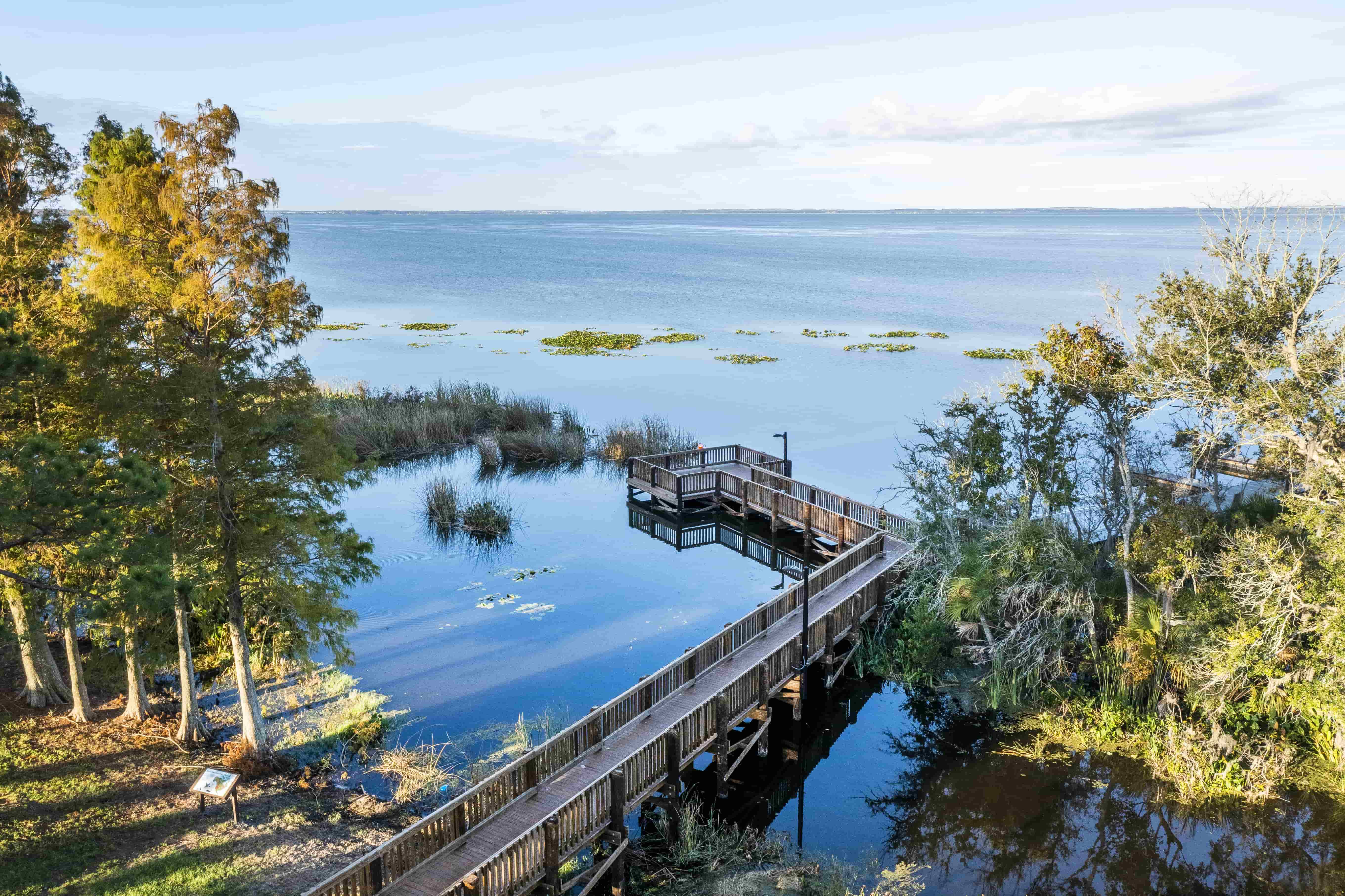 MagnoliaParkDrone 012-min