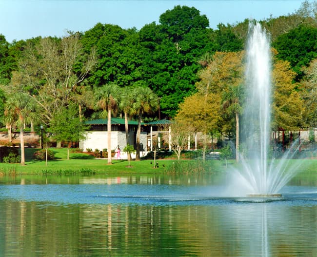 Photo Lake Lily Park - 1