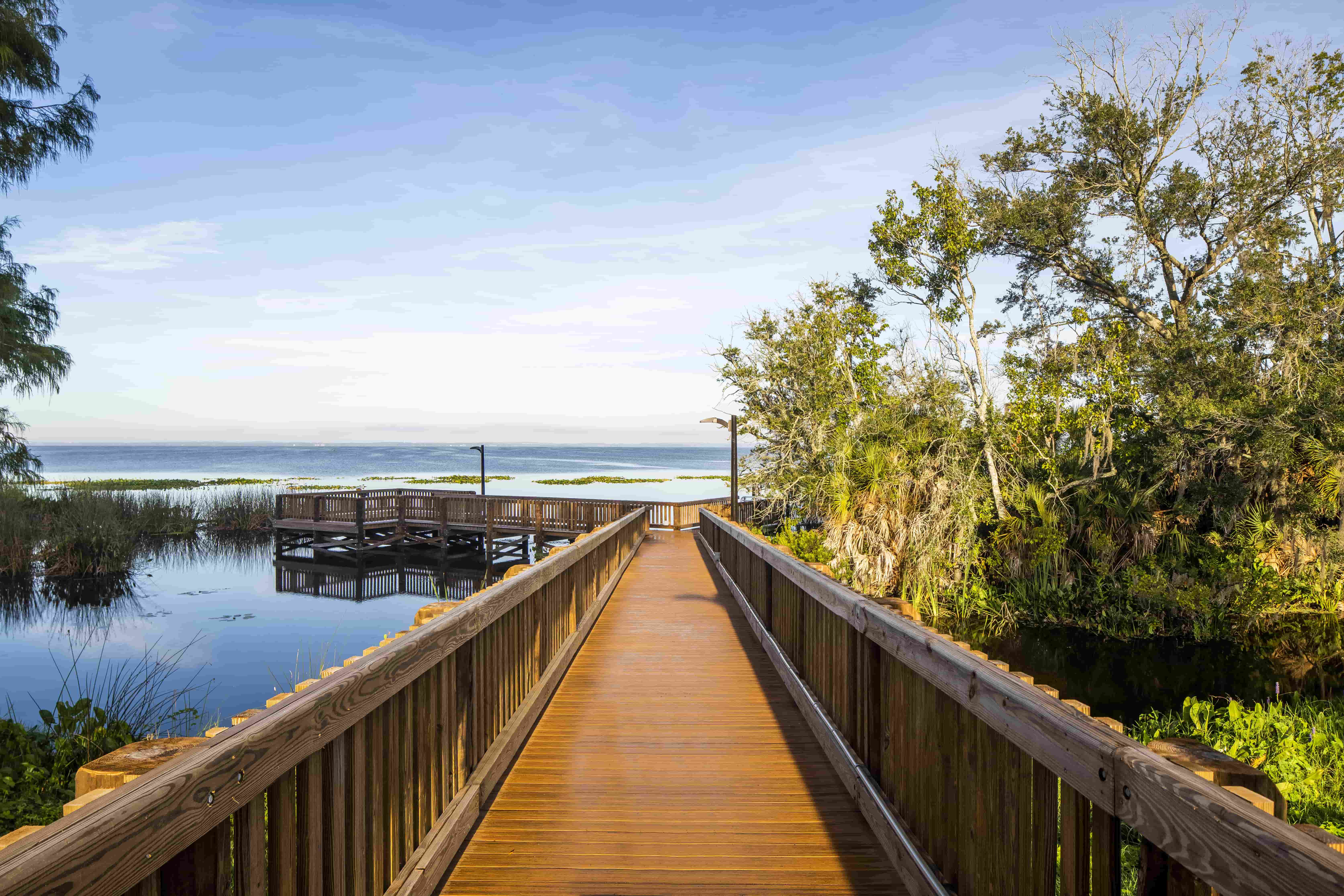 MagnoliaPark 016-min