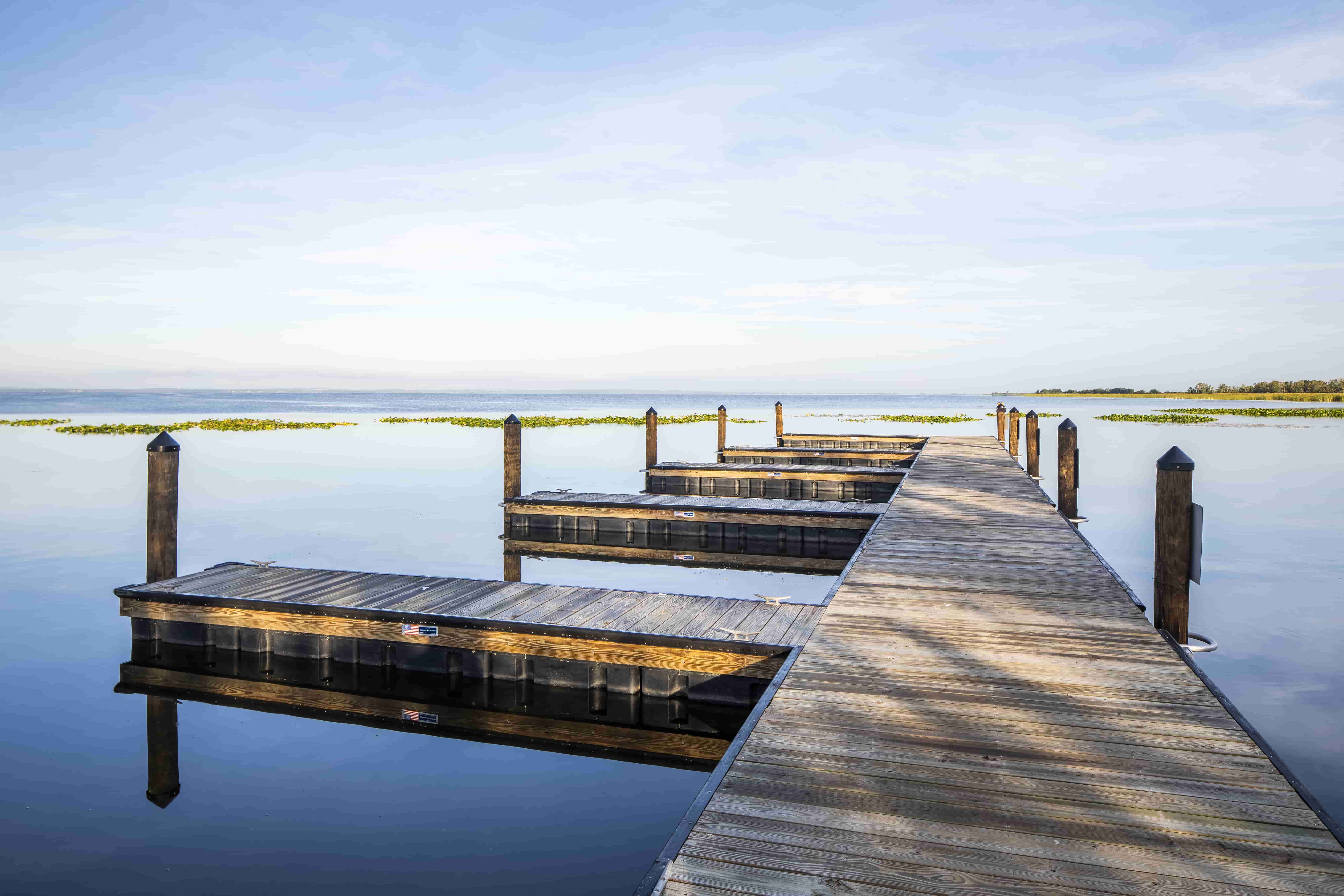 MagnoliaPark 020-min